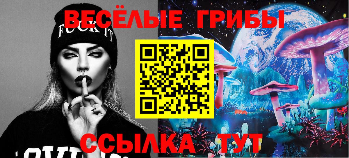 Якутск  Галлюциногенные грибы Psilocybe  Вход с VPN  Псилоцибиновые грибы MAGIC MUSHROOMS 