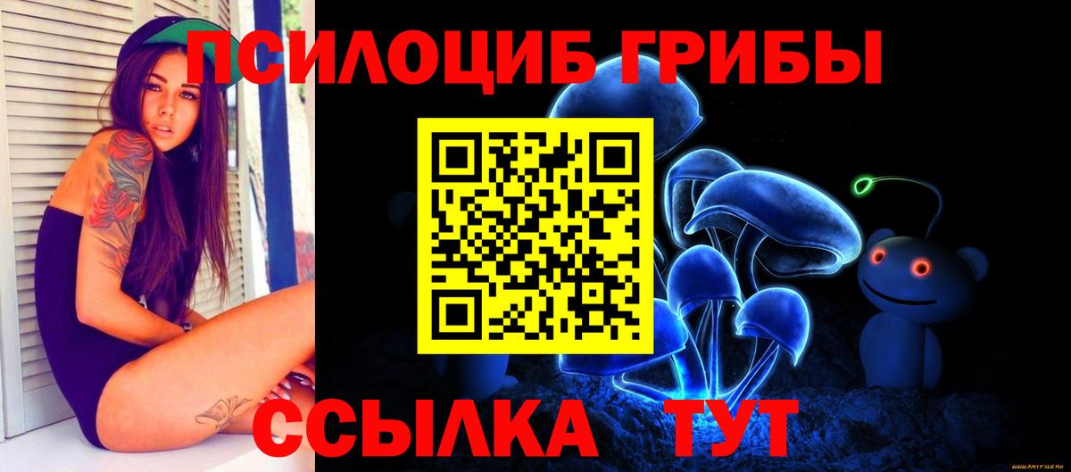 Псилоцибиновые грибы Cubensis Якутск